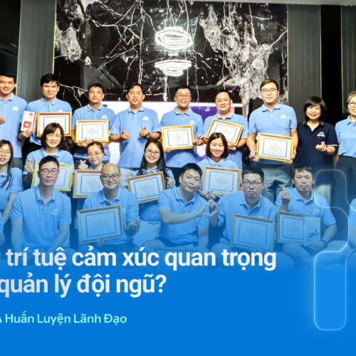 SAVA META Huấn Luyện Lãnh Đạo Về Trí Tuệ Cảm Xúc